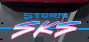 1994 Storm SKS tunnel decal artwork